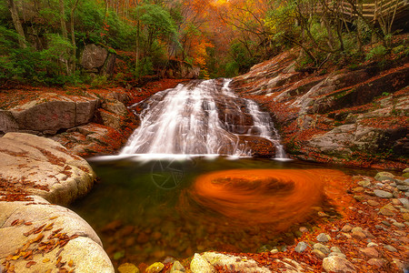 秋季瀑布风光光雾山红叶节背景