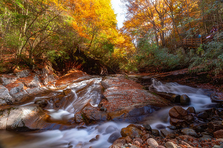 秋季瀑布风光四川成都光雾山网红景区红叶节瀑布流水背景