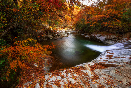 光雾山网红景区红叶节流水高清图片