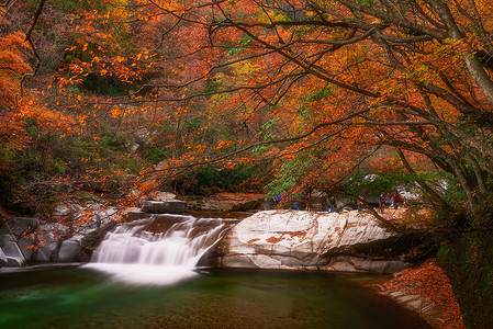 秋季瀑布风光光雾山流水红叶节背景