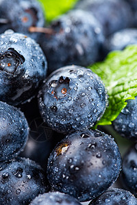 好吃蓝莓新鲜蓝莓好吃的水果背景