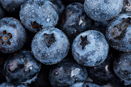 新鲜好吃的蓝莓高清图片
