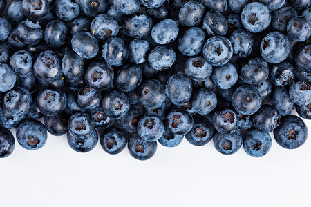 蓝莓背景素材图片