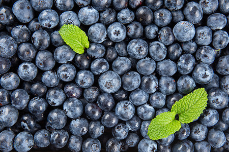 平铺新鲜野生蓝莓拍摄背景图片