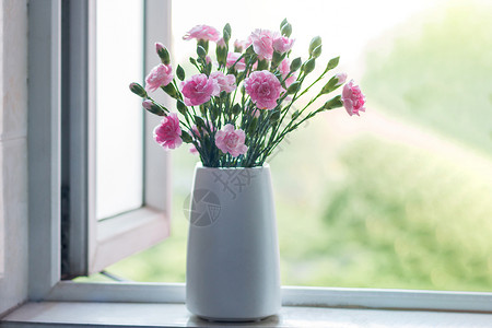 窗台上花朵窗台上的康乃馨背景