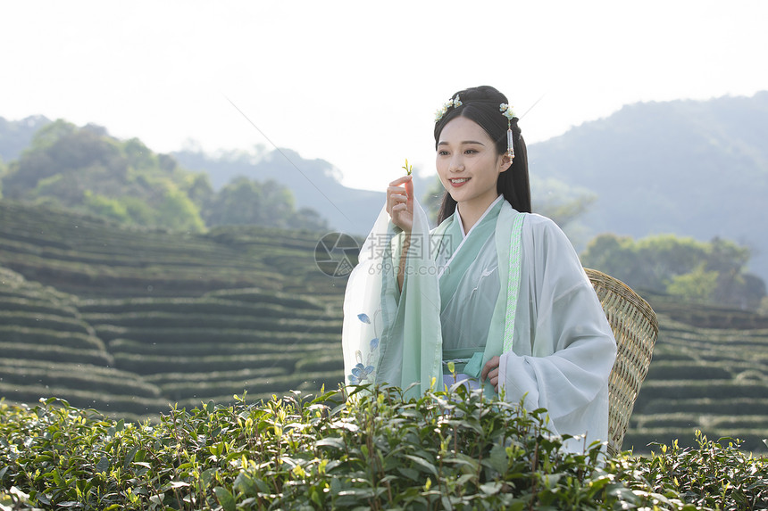 汉服古装美女背茶篓采茶图片