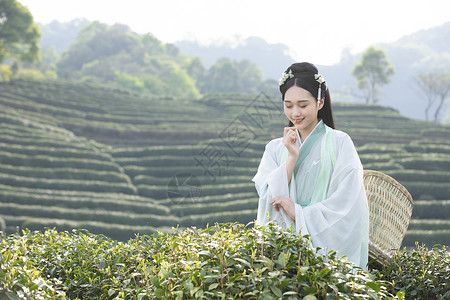 汉服古装美女背茶篓采茶图片