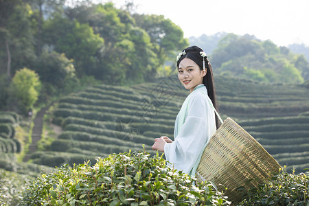 汉服古装美女背茶篓采茶图片