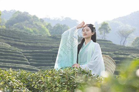 汉服古装美女背茶篓采茶高清图片