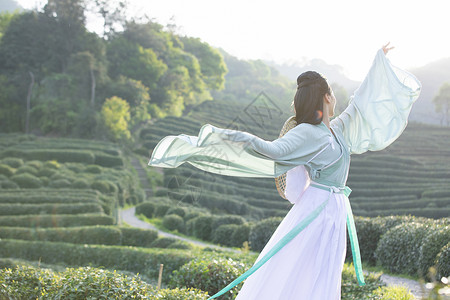 跳舞的女汉服古装美女茶园里跳舞背景