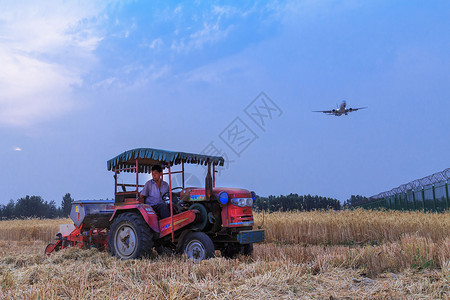 农田麦子丰收联合收割机机械化作业高清图片