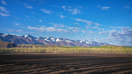新疆雪山下的耕地农田背景图片