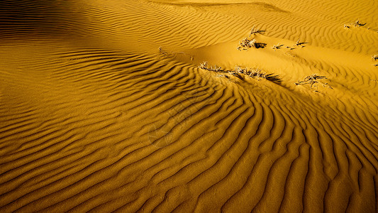 内蒙古库布其沙漠风光高清图片