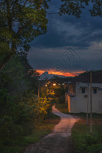 森林里的小路傍晚黄昏森林里的灯火小路背景