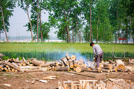 伐木工人锯木保护环境高清图片素材