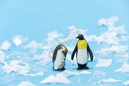海洋动物小企鹅海洋污染与动物背景