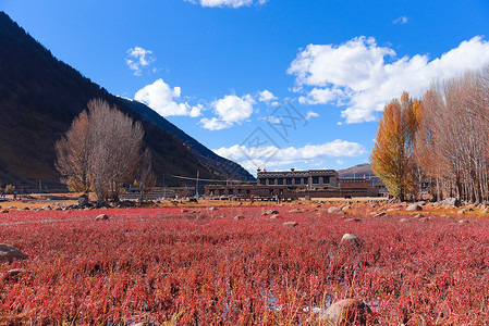 稻城红草滩风光四川高清图片素材