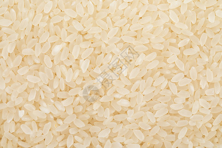 东北大米长粒米背景图片