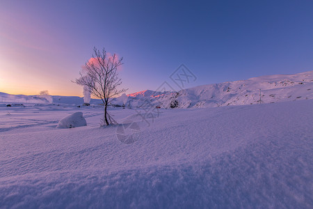 蓝雪花蓝冰岛雪地日出自然美景背景