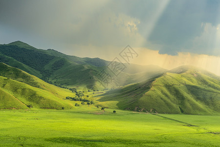 邂逅夏至呼伦贝尔大草原风景背景