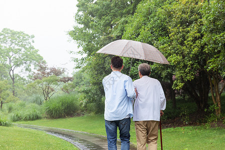 中老年父子下雨天撑伞逛公园背影高清图片