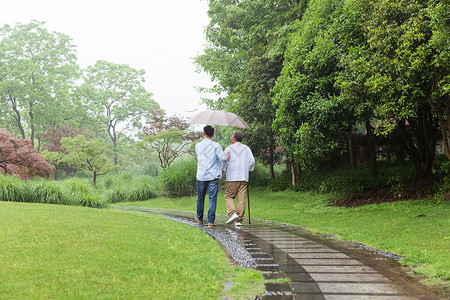 中老年父子撑伞下雨天逛公园高清图片