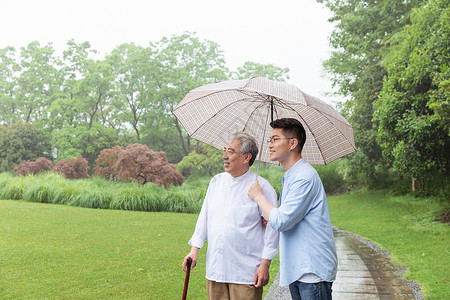 中老年父子撑伞下雨天逛公园图片