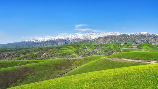 新疆霍尔果斯大西沟草原背景图片