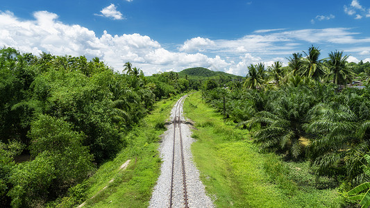 亚热带森林航拍热带雨林中的铁路铁轨背景