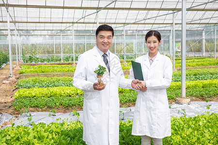 大棚内手捧植物幼苗的农业培育科学家背景图片