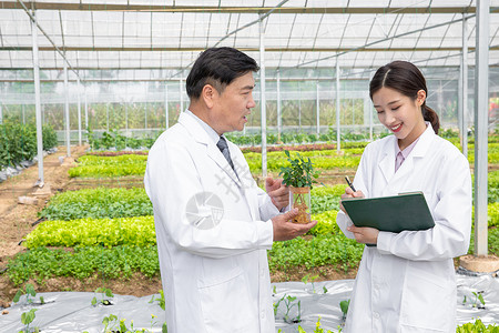 大棚内手捧植物幼苗的农业培育科学家高清图片