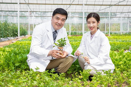 大棚内手捧植物幼苗的农业培育科学家背景图片