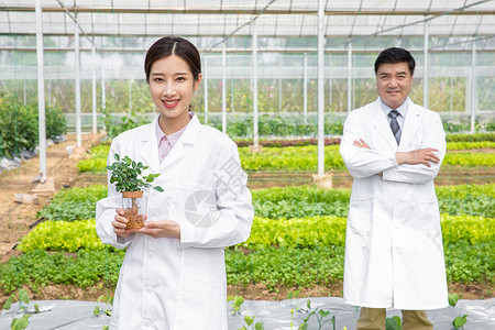 大棚内手捧植物幼苗的农业培育科学家图片