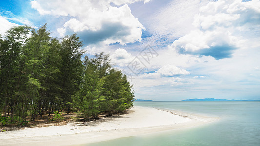 泰国海滨红树林白沙滩背景图片