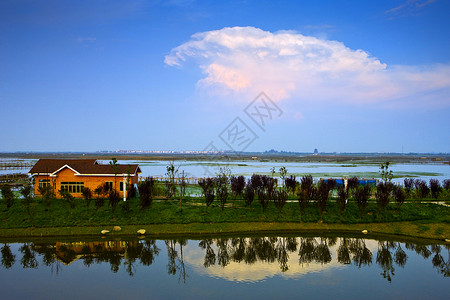 阳澄湖背景图片
