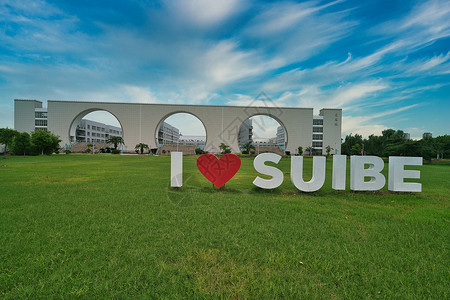 上海对外经贸大学大草坪背景