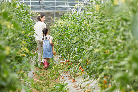 手绘背影男孩妈妈和小女孩菜园采摘蔬菜背影背景