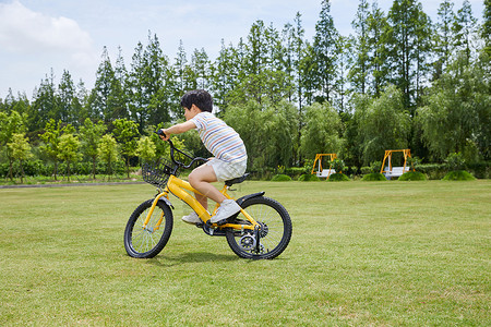 小男孩草坪上骑单车背景图片