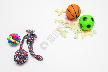 动物篮球素材宠物用品玩具与宠物食品背景