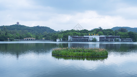 杞麓湖麓湖公园背景