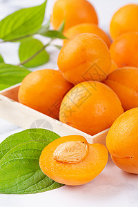 新鲜采摘的杏子背景图片