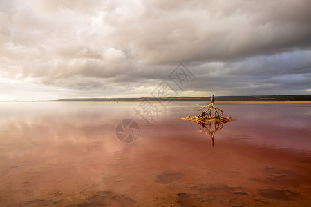珀斯水特征澳大利亚珀斯粉红湖美丽风光背景