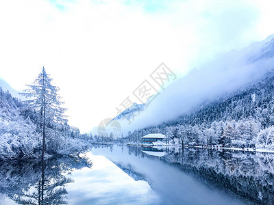 雪中森林四川毕棚沟风光背景