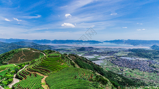 茶叶园福州网红长龙茶山背景