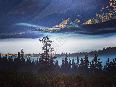 山雾缭绕美国阿拉斯加雾气山景背景