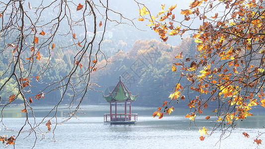 江西九江庐山芦林湖秋景图片