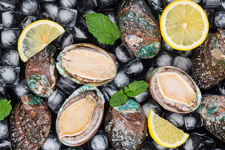 贝类石头冰块清新薄荷叶柠檬片和鲍鱼背景
