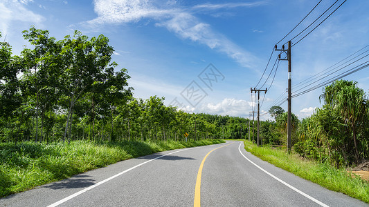 乡村道路电源线热带丛林中的旅行道路背景