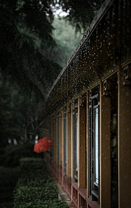 雨水节气风景夏天梅雨季节滴雨的屋檐背景