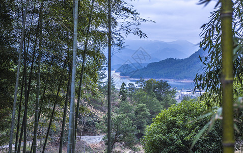 民宿世外竹林山景高清图片